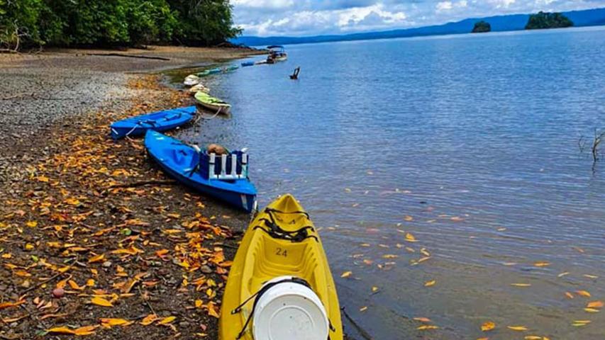 Aventuras Tropicales Golfo Dulce