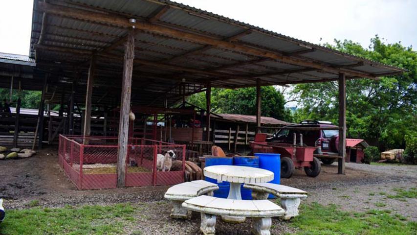 Finca La Molina