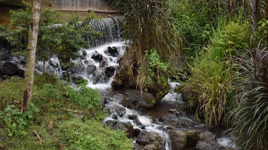 Senderos Quebrada Blanca