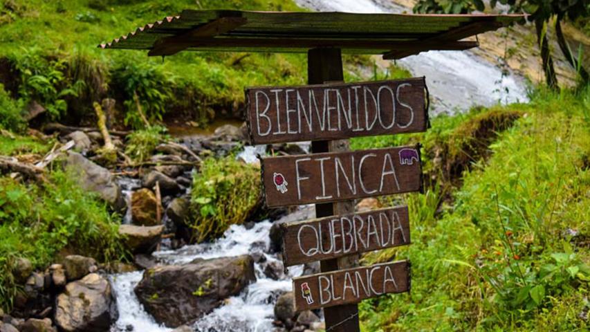 Senderos Quebrada Blanca