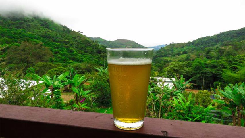Jungle Brew Cervecería