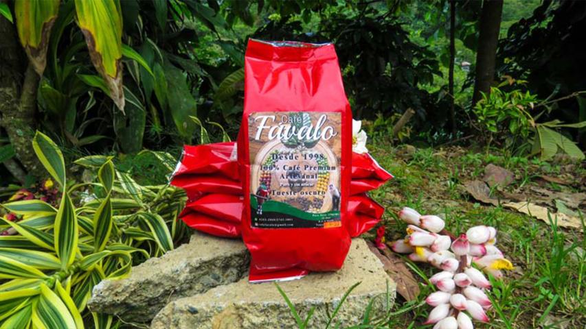 Finca y Café Favalo