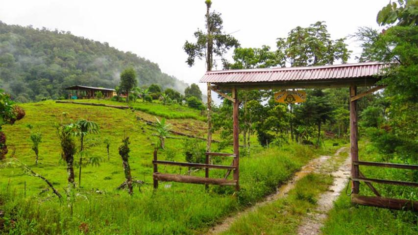 Finca La Bonanza