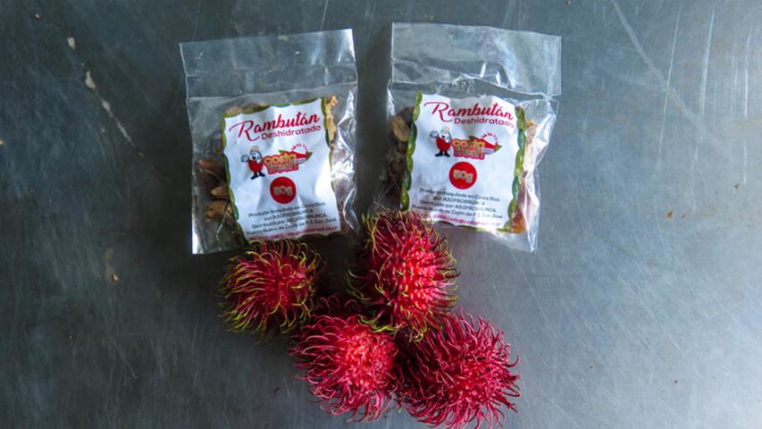 Asociación de Productores de Frutas de la Región Brunca (ASOFRUBRUNCA)