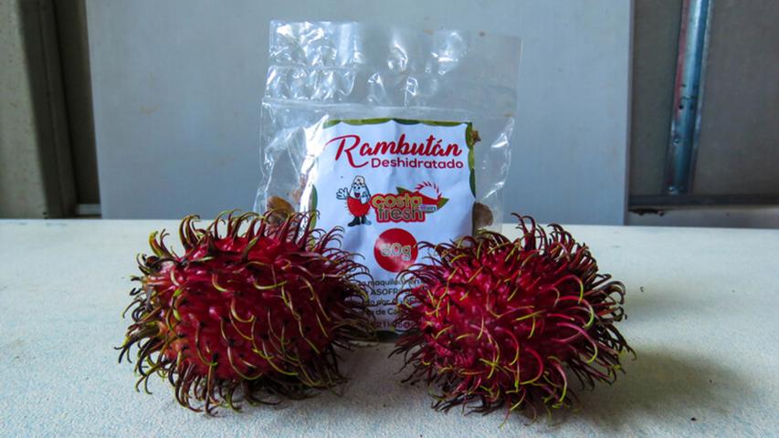 Asociación de Productores de Frutas de la Región Brunca (ASOFRUBRUNCA)