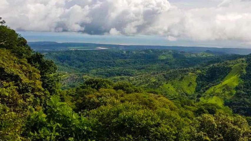 Osa Canopy Tour