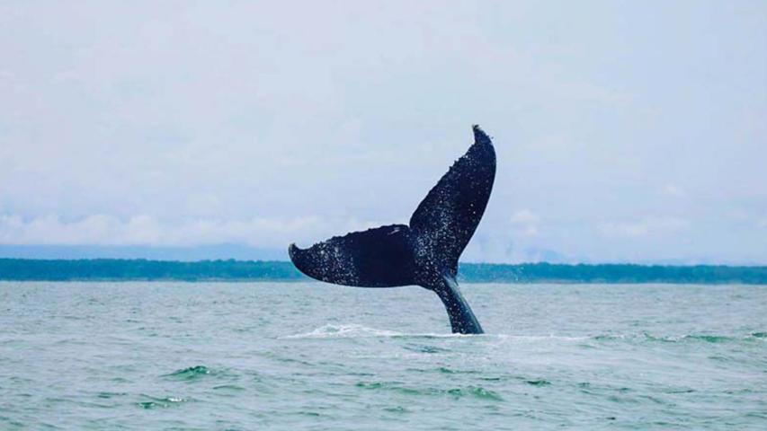 Bahía Aventuras