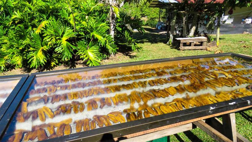 Finca Integral Agroecológica Los Gansos