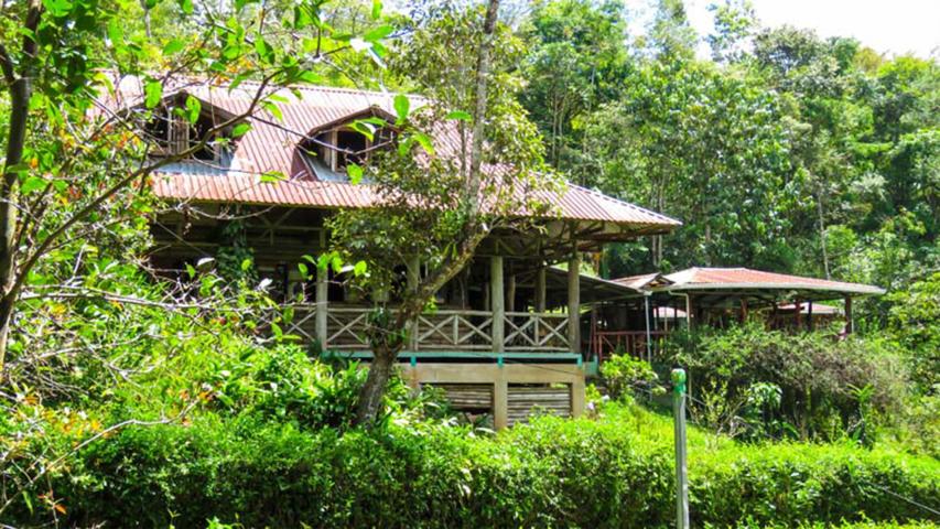 Asociación Centro Ecológico Montaña Verde