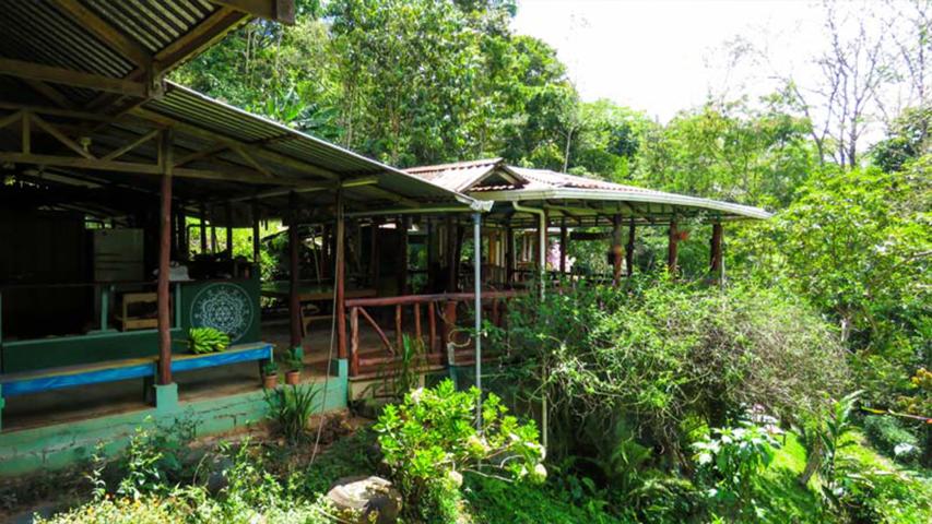 Asociación Centro Ecológico Montaña Verde