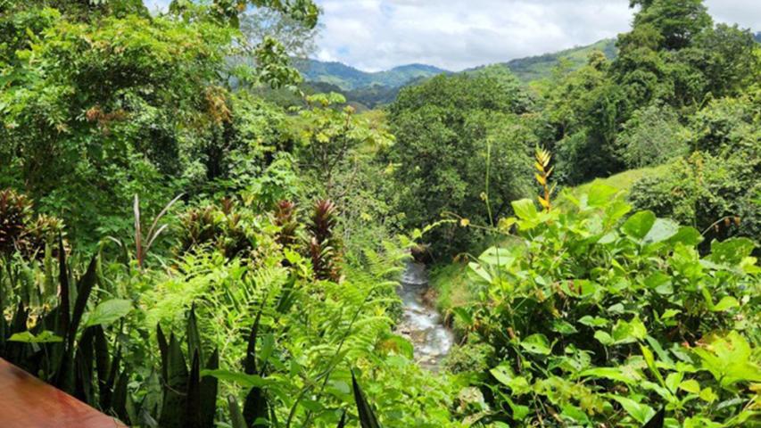 Finca Agroecológica Los Pilares