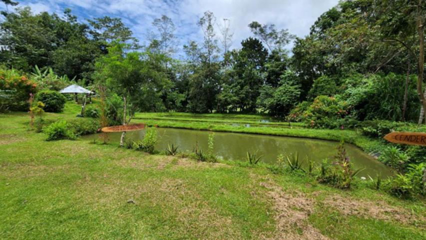 Finca Agroecológica Los Pilares