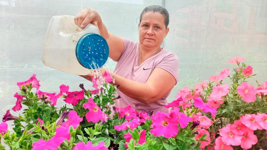 Flor Natural