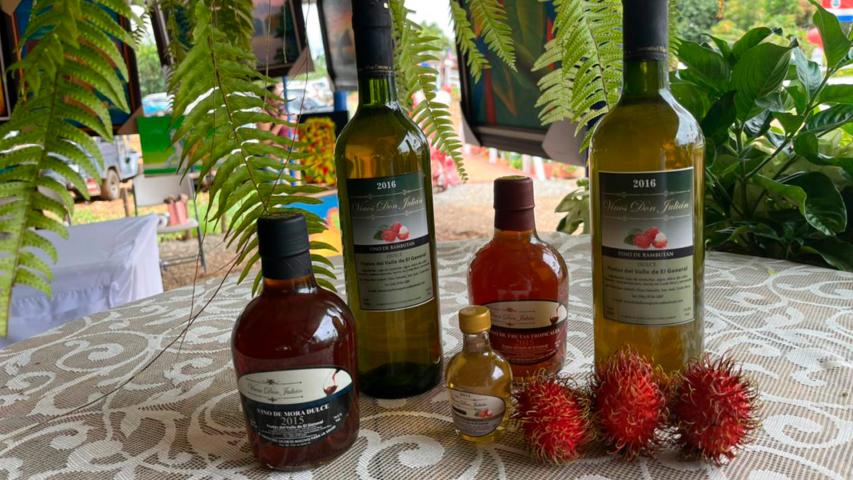 Vinos Don Julián