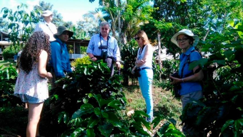 BENEFICIO VERDE PITTIER