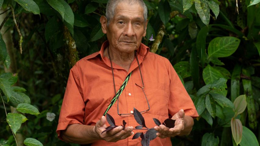FRANCISCO RODRIGUEZ ATENCIO