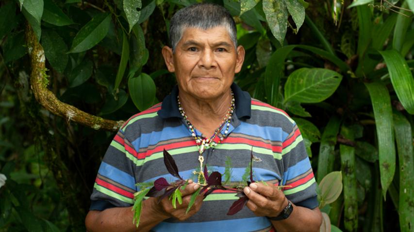 ALEJANDRO PALACIOS PALACIOS