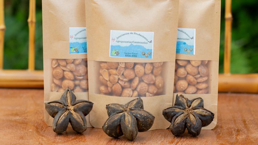 ASOCIACION DE PRODUCTORES AGROPECUARIOS COTOBRUCEÑOS