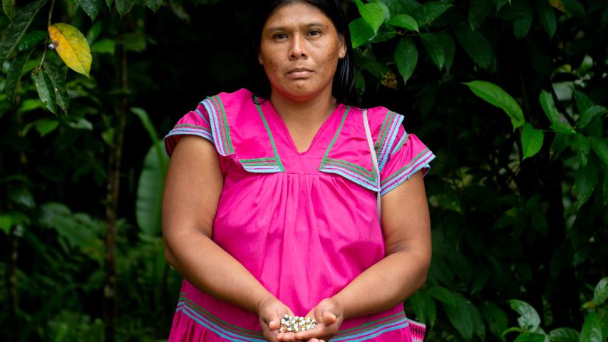 MENSULI/OLGA PALACIOS GONZALEZ