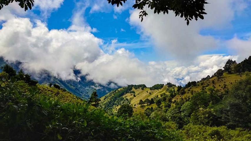 Finca Caminatas El Quetzal
