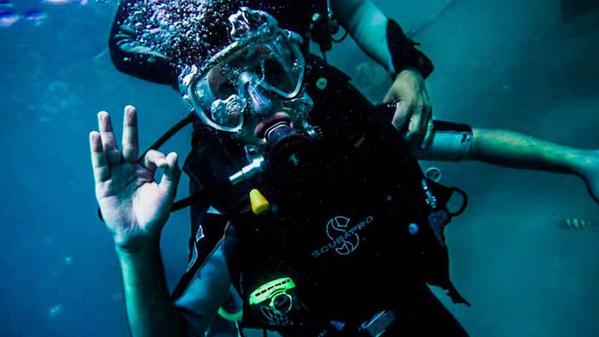 Drake Divers