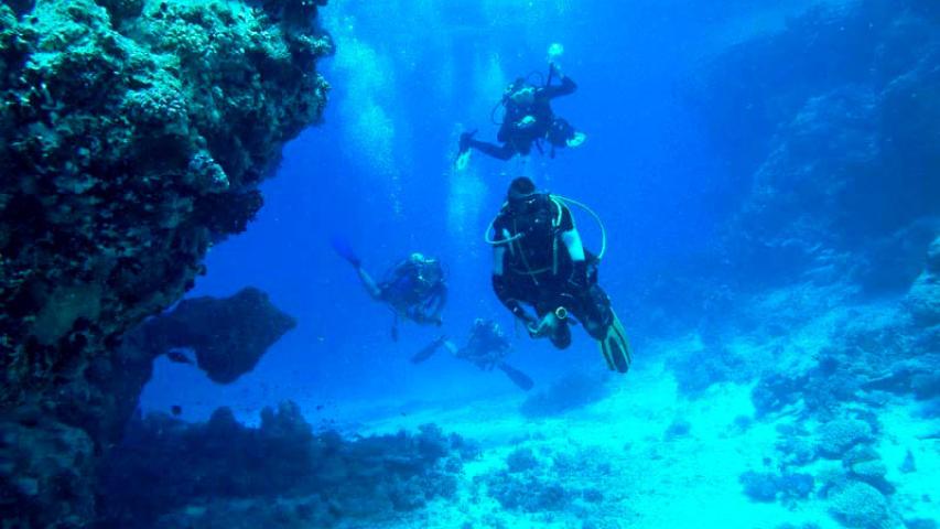 Drake Divers